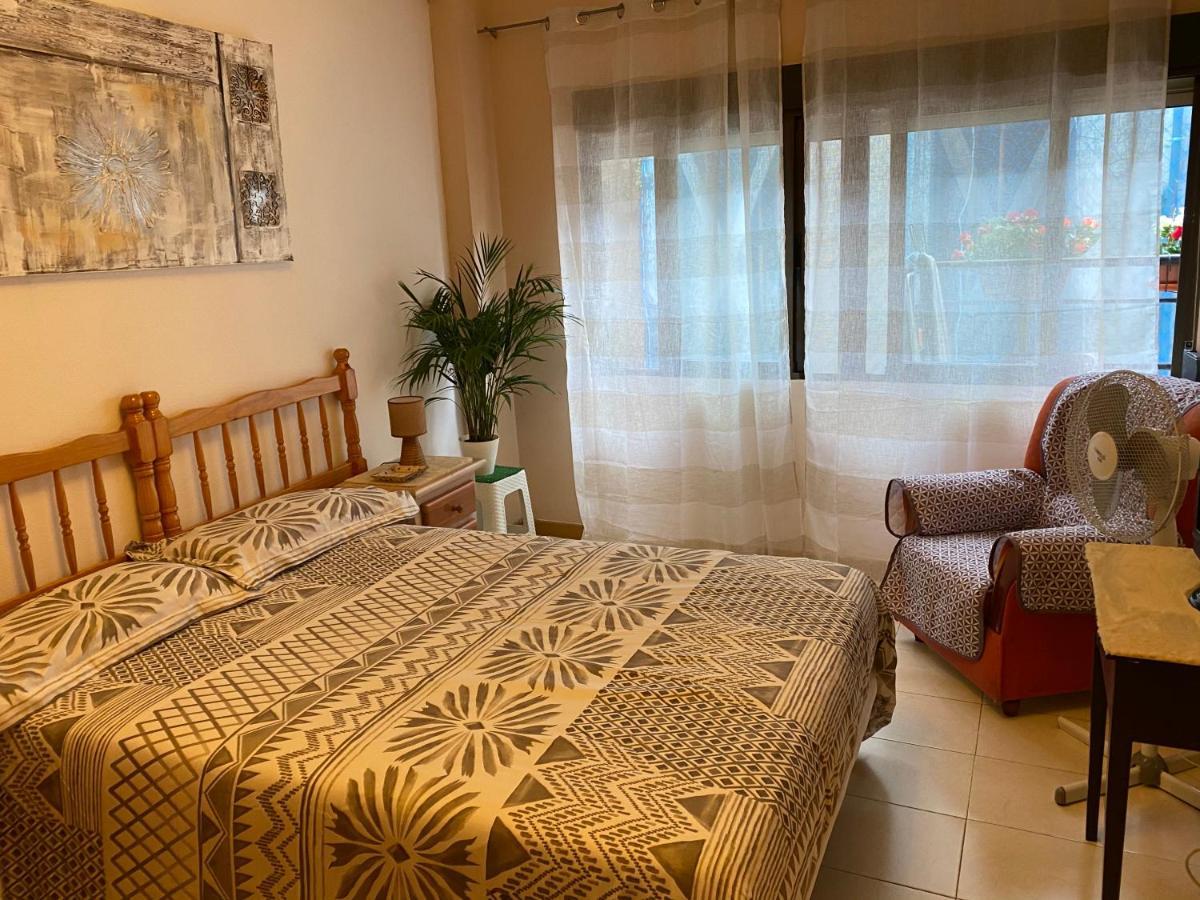 Guest House Del Sol アリカンテ エクステリア 写真