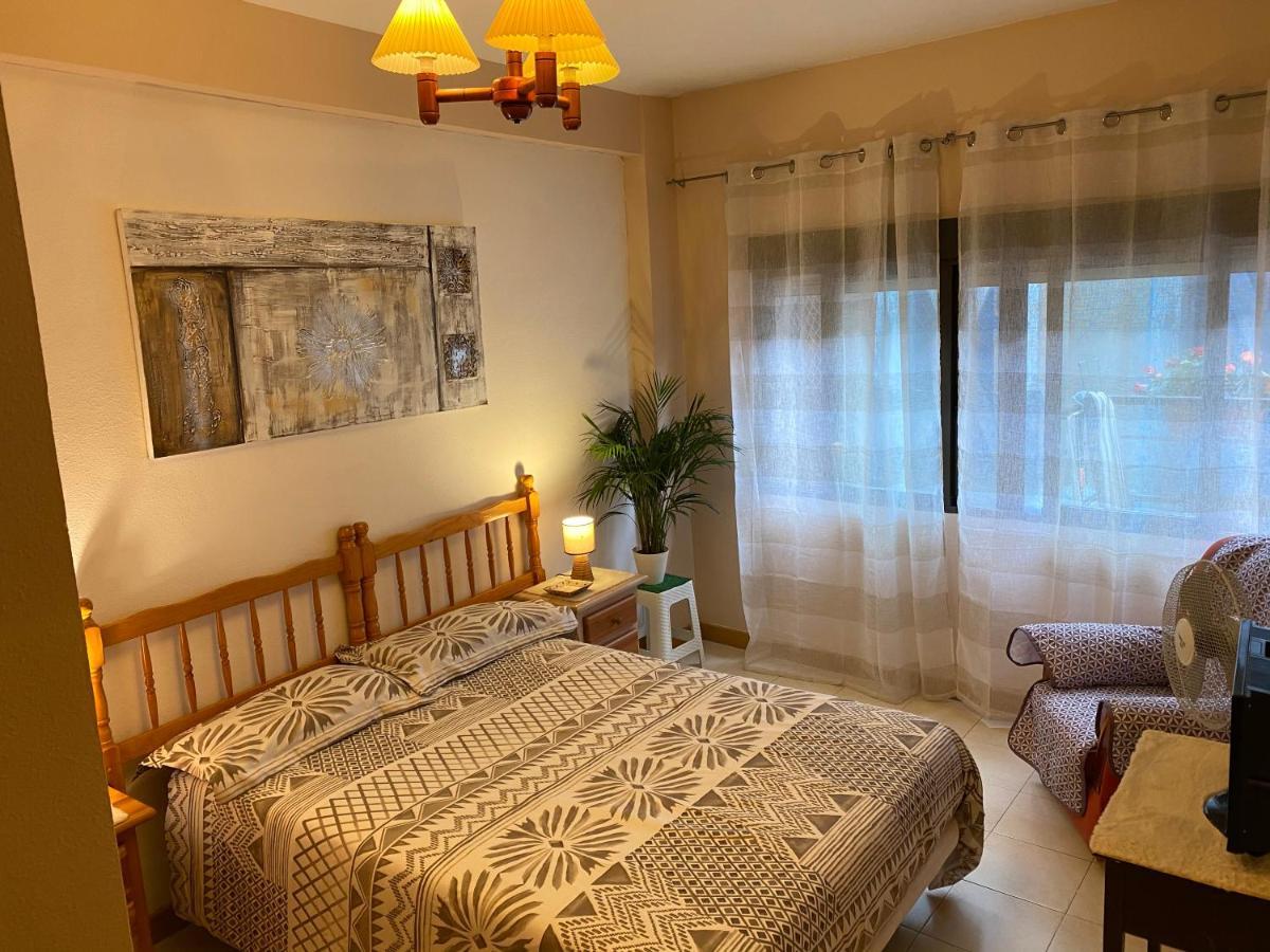 Guest House Del Sol アリカンテ エクステリア 写真